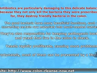 Free Colon Cleanse Guide - Preventing Poor Colon Health