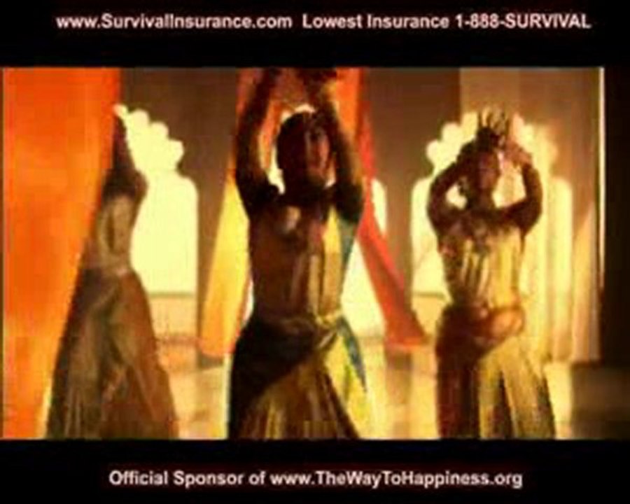 Great 2010 Super Bowl Commercials Insurance