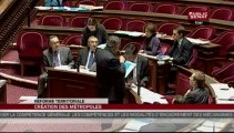 SEANCE,Réforme des collectivités territoriales