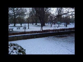 Peace - Alternative Music Video 🎶