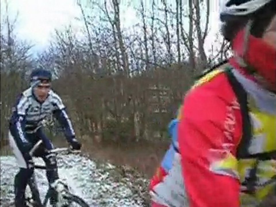 vtt300110