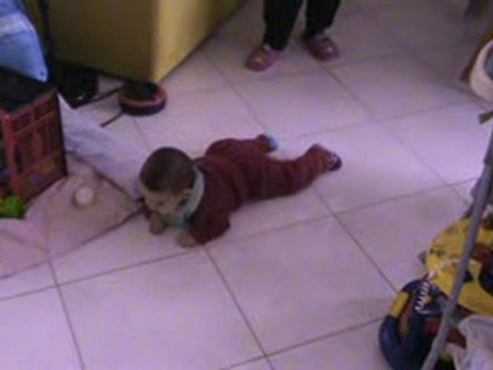 RAMBO JUNIOR