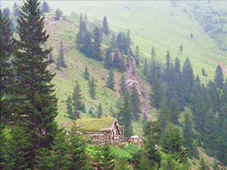 Hüner COŞKUNER Haydi Tut Ellerimi