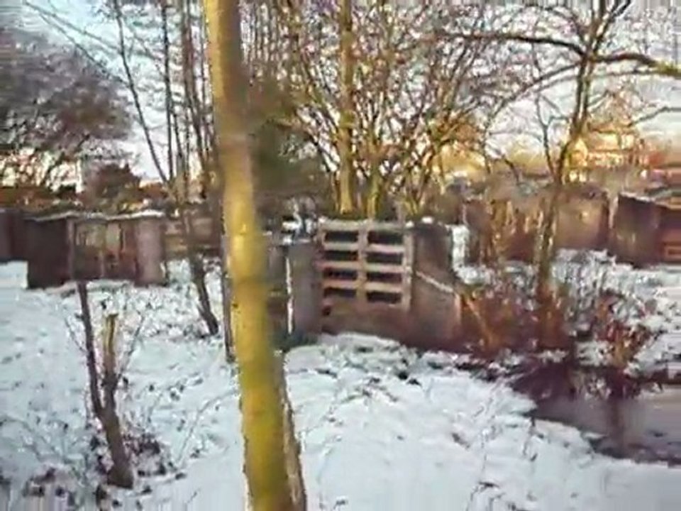 paintballdu160110 029