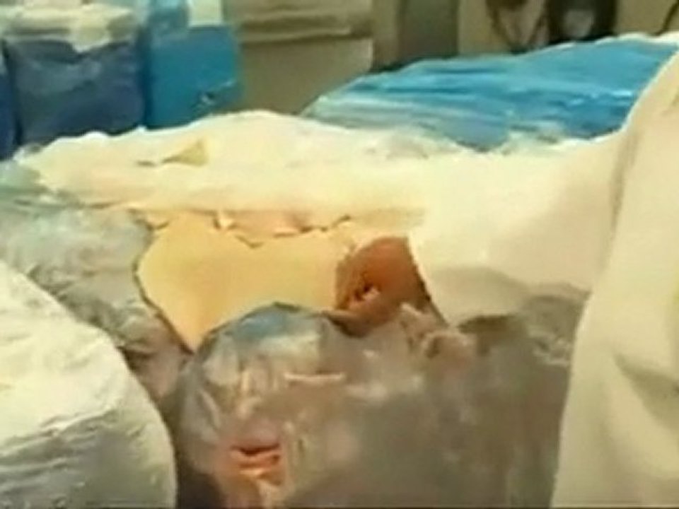 gelatine_de_porc