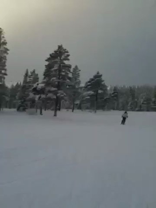 Nybergparanteserna