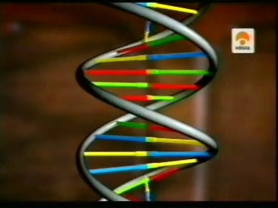 La estructura del ADN: Watson y Crick - Vídeo Dailymotion