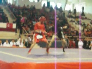 Türkiye Wushu Federasyonu