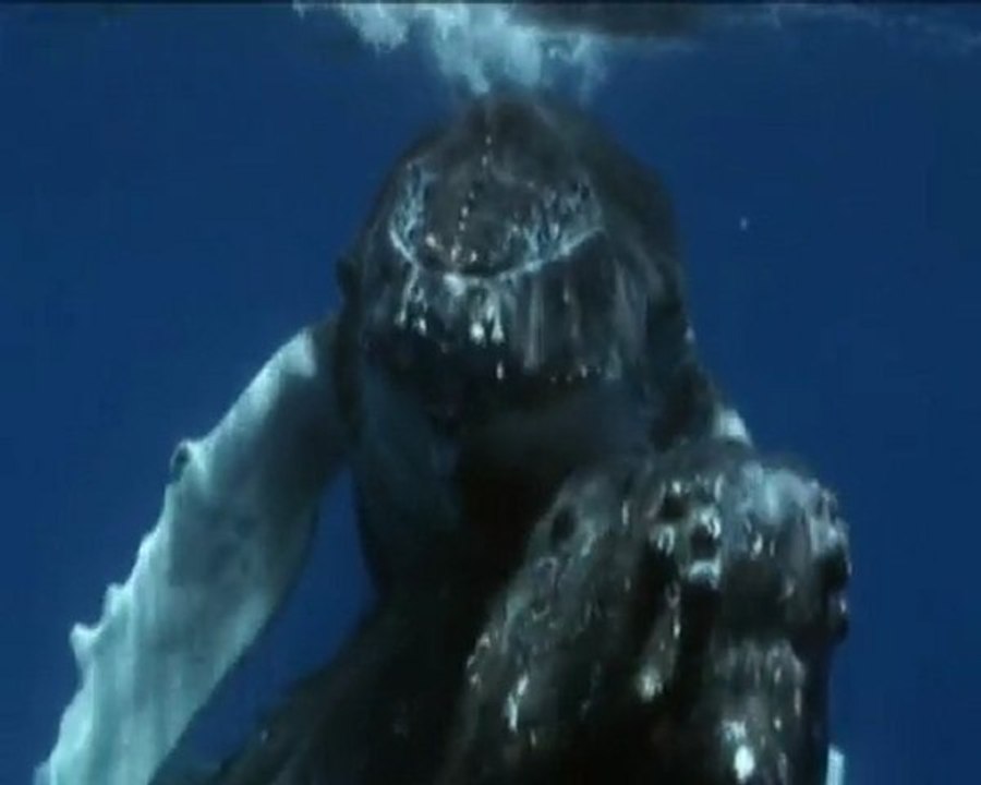 LE BAL DES SIREINES (COMPO MUSICALE DE JP)