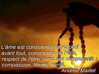 Rejetez l'interdiction des minarets, Signez la pétition