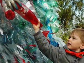 les arbres du partage