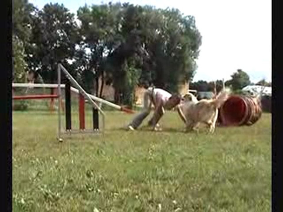 année 2009 apie agility OOOOOOOoooo... AAAAaaaaahhh....