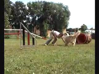 année 2009 apie agility OOOOOOOoooo... AAAAaaaaahhh....