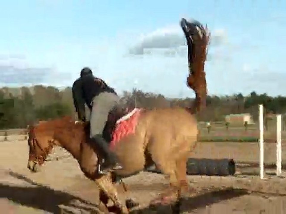 2 FEVRIER 2010 JJ 1