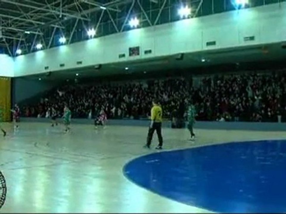 Handball N2M : La Roche-Sur-Yon / Vernouillet (31 à 29)