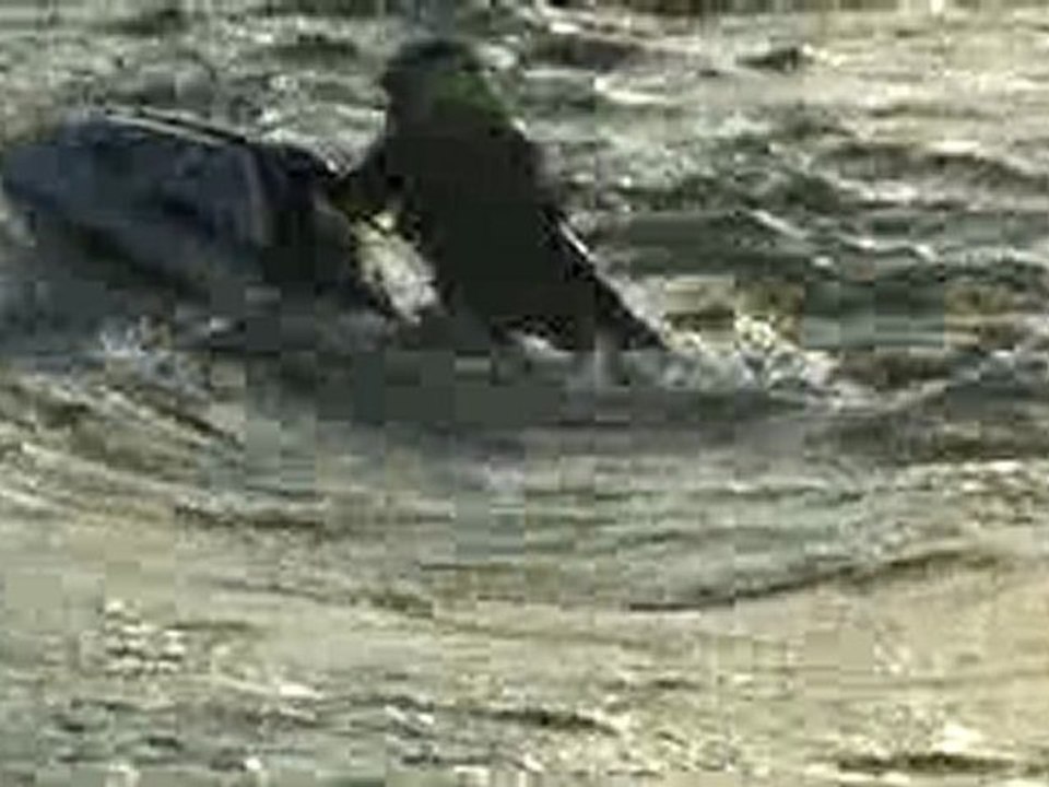 Jetski Peronnes 31/01/2010 3/4