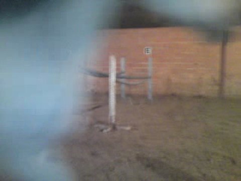 Sublime saut oxer 1m25