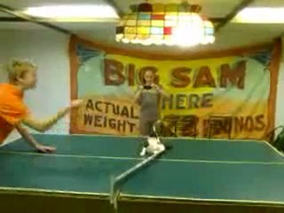 Chat joue au ping pong