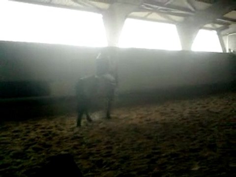 poupette petite croix à cru en licol février 2010