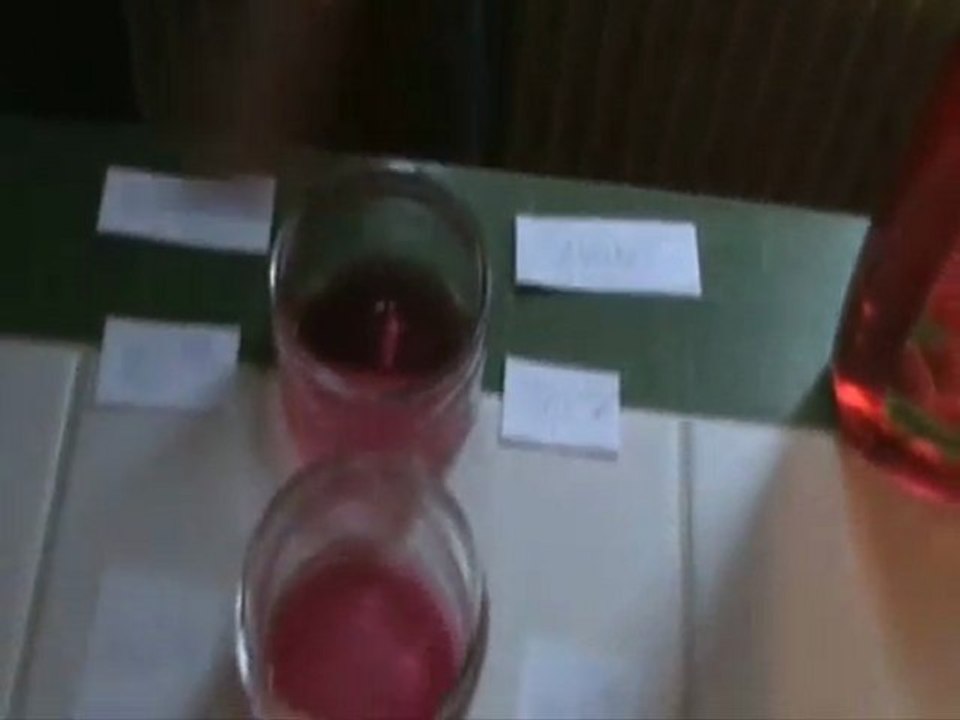 exp 2 présentation