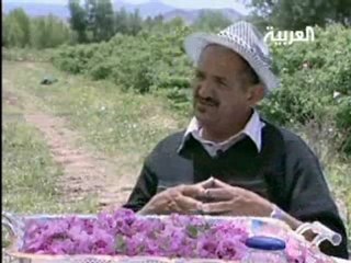 موسم الورد بقلعة مكونة بالمغرب