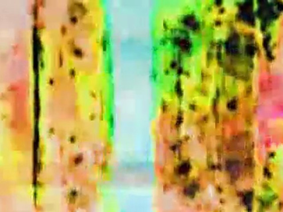 Gutter by Paper Route Music Video