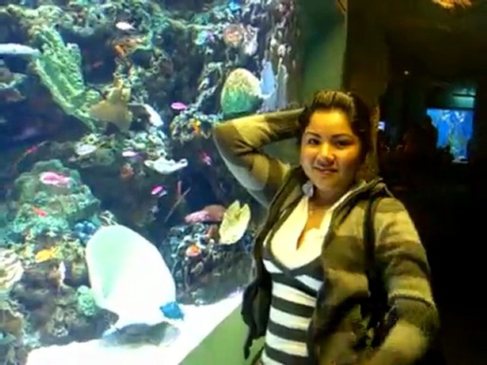 AQUIARIUM LONG BEACH
