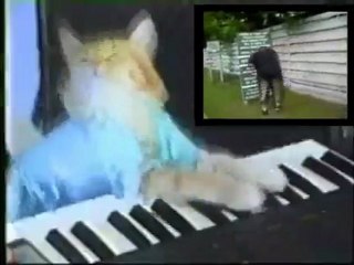 Chat qui joue du panio remix - Cat ZONE