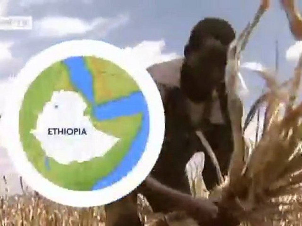 The Deforestation of the World | Global 3000