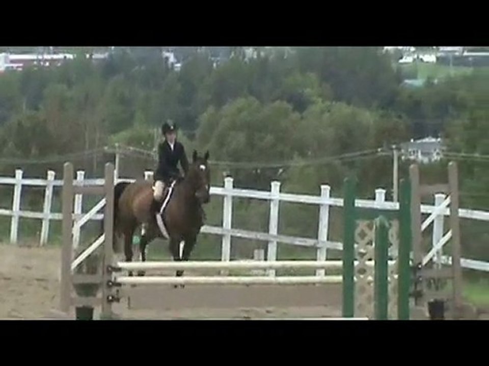 Moi & ma jument depuis le début