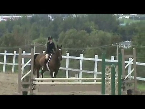 Moi & ma jument depuis le début