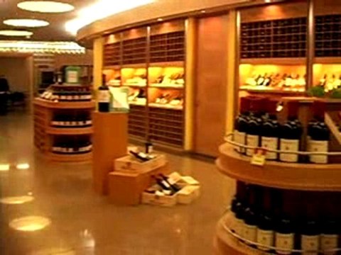 InterContinental Santiago Around the Hotel