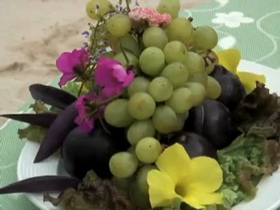 Presidente Puerto Vallarta Resort In the Know