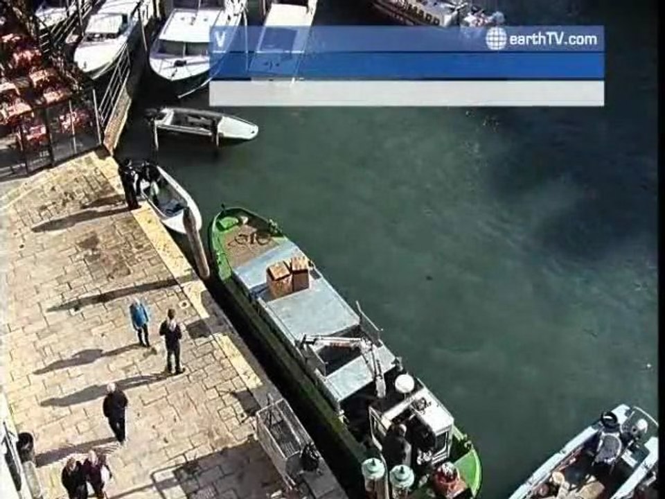 Singita - South Africa, Munich - Germany, Kyiv - Ukraine, Honolulu - USA, Berlin - Germany, Venice - Italy, Johannesburg - South Africa