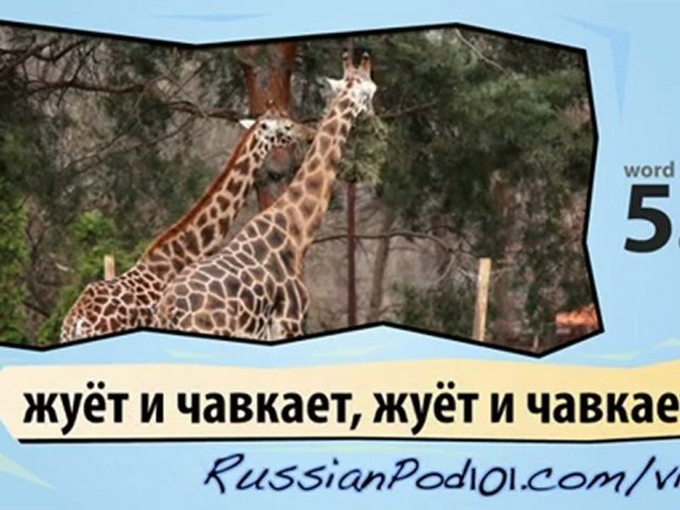 Learn Russian - Learn with Russian Safari Videos