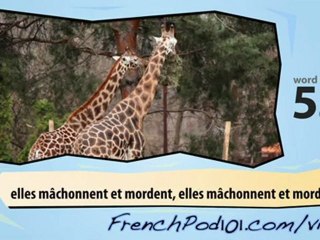 Learn French - Learn with French Safari Videos
