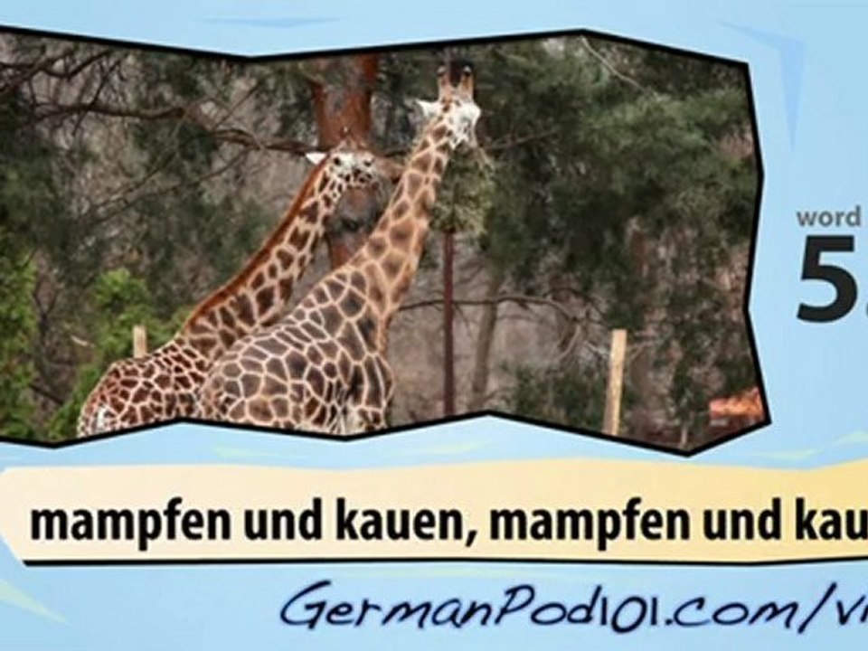 Learn German - Learn with German Safari Videos