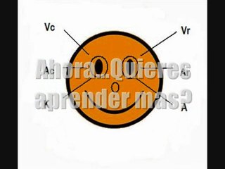 Lie to me Como Detectar una Mentira Con La Mirada