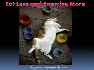 Lose 9lbs. Every 11 Days and Improve Your Body Mass Index