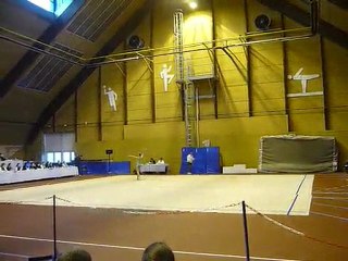 GR indiv 2009 region