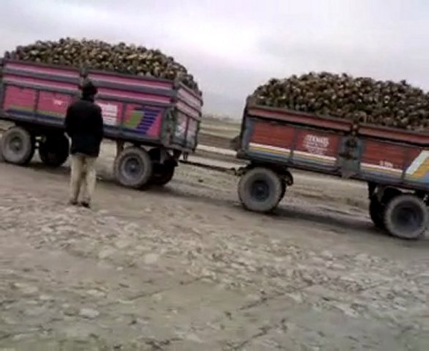 John Deere Pancar Hasatı www.tarimkulup.com