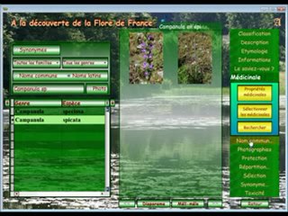 Flora Bellissima D&A (4)