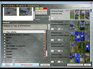 Flora Bellissima Reconnaitre (1)