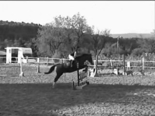 Cheval de ma vie...