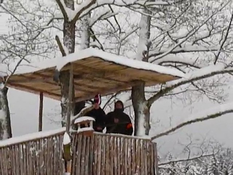 P1030007