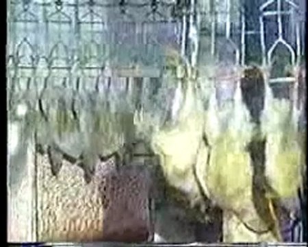 meat is murder-the smiths