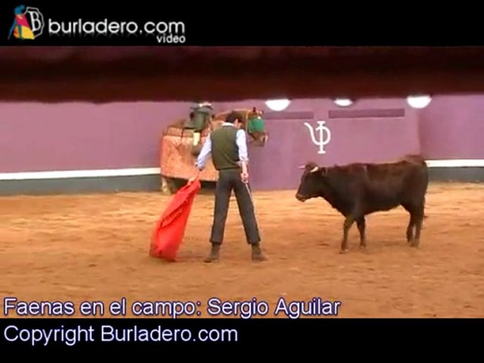 Faenas en el campo: Sergio Aguilar