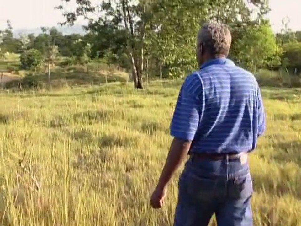 L'HOMME DEBOUT - HAÏTI