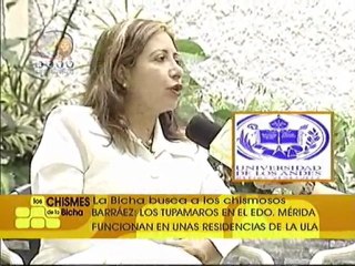 La Bicha 3 de febrero (2)