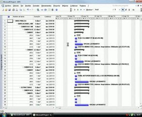 41. Icono MS Project APU Constrcutor